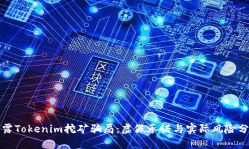 揭露Tokenim挖矿骗局:虚假承诺与实际风险分析