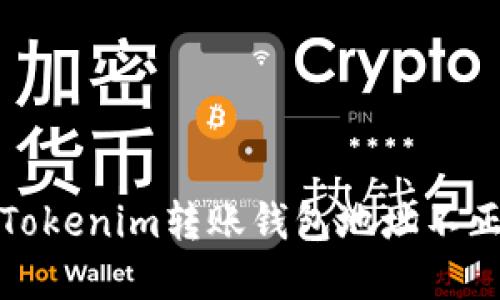 如何解决Tokenim转账钱包地址不正确的问题