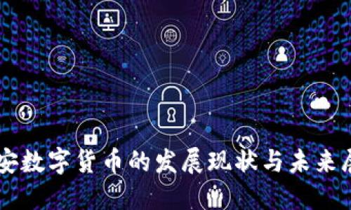 西安数字货币的发展现状与未来展望