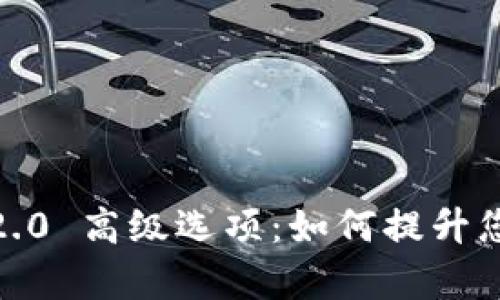 全面解读TokenIM 2.0 高级选项:如何提升您的数字资产管理效率
