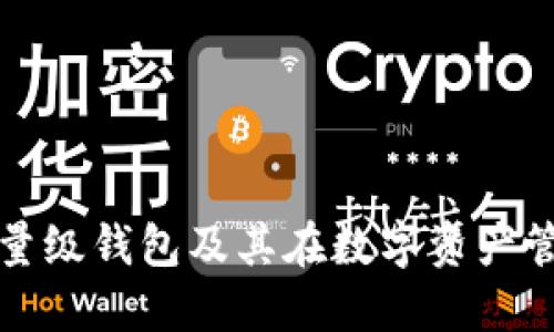 详解以太坊轻量级钱包及其在数字资产管理中的重要性