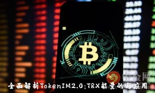 全面解析TokenIM2.0:TRX能量的与应用