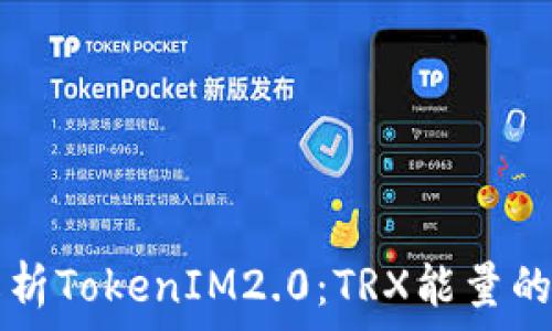 全面解析TokenIM2.0:TRX能量的与应用