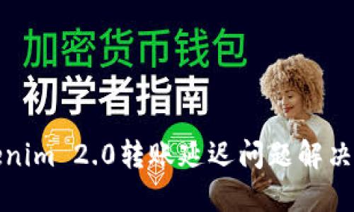 Tokenim 2.0转账延迟问题解决指南