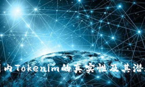揭秘国内Tokenim的真实性及其潜在价值