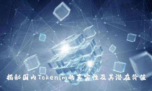 揭秘国内Tokenim的真实性及其潜在价值