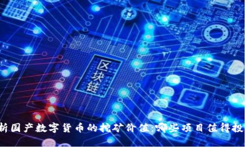 分析国产数字货币的挖矿价值:哪些项目值得投资?