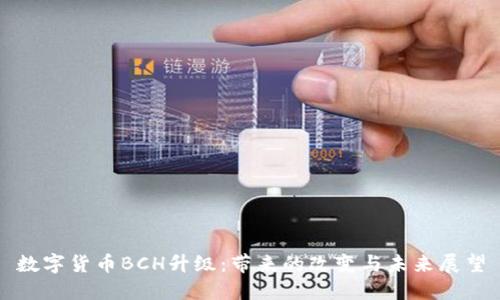 数字货币BCH升级:带来的改变与未来展望