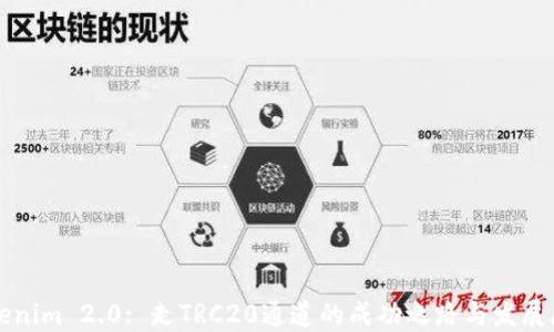 Tokenim 2.0: 走TRC20通道的成功之路与发展展望