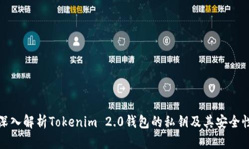 深入解析Tokenim 2.0钱包的私钥及其安全性