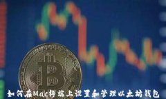 如何在Mac终端上设置和管
