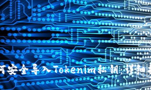 如何安全导入Tokenim私钥:详细指南