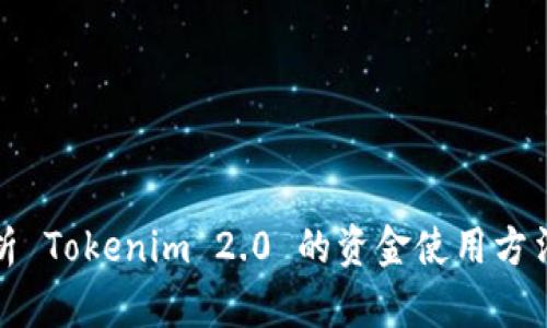 深入解析 Tokenim 2.0 的资金使用方法与策略