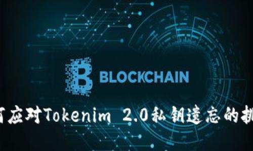 如何应对Tokenim 2.0私钥遗忘的挑战?