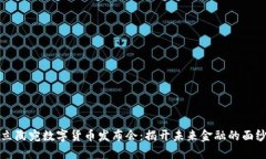 立陶宛数字货币发布会：