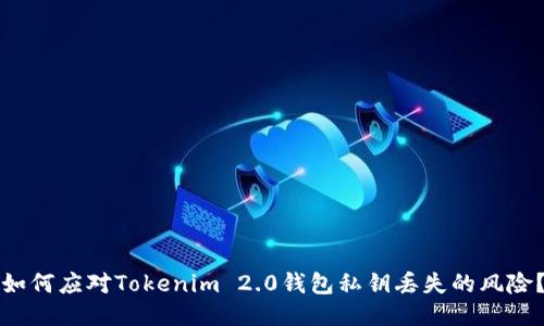 如何应对Tokenim 2.0钱包私钥丢失的风险?