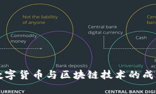 深入探讨数字货币与区块链技术的成功案例分析