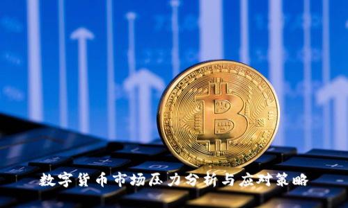数字货币市场压力分析与应对策略