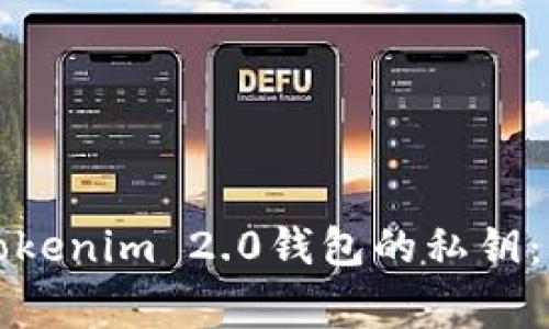 如何安全导出Tokenim 2.0钱包的私钥:步骤与注意事项