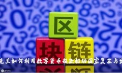 乌克兰如何利用数字货币