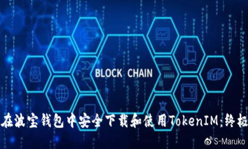 如何在波宝钱包中安全下载和使用TokenIM:终极指南
