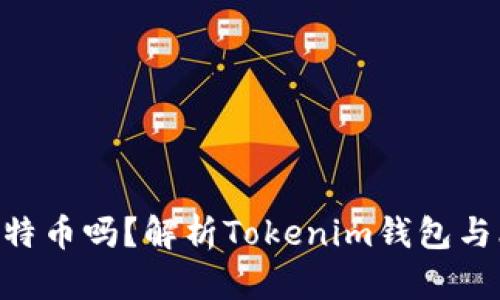 Tokenim能装比特币吗?解析Tokenim钱包与比特币的兼容性