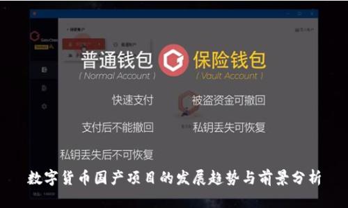 数字货币国产项目的发展趋势与前景分析