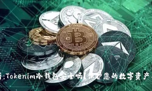 深度解析:Tokenim冷钱包安全吗?保护您的数字资产不容忽视