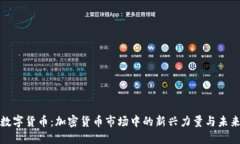 狗狗数字货币：加密货币