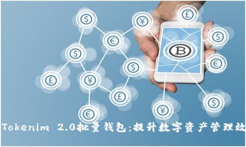 深入解析Tokenim 2.0批量钱包:提升数字资产管理效率的利器