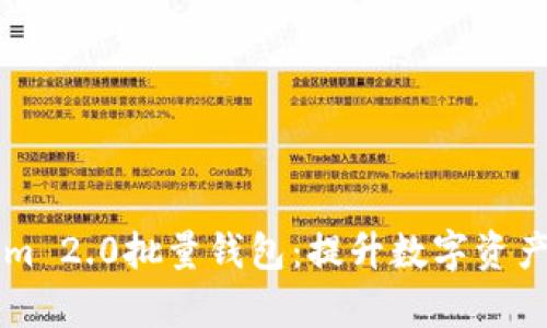 深入解析Tokenim 2.0批量钱包:提升数字资产管理效率的利器
