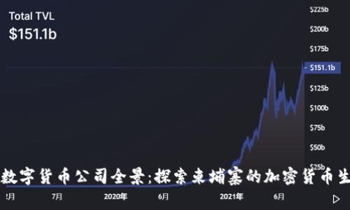 柬埔寨数字货币公司全景：探索柬埔寨的加密货币生态系统