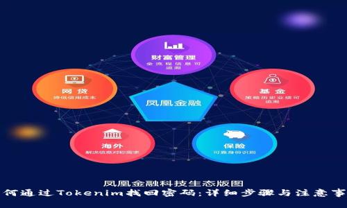 如何通过Tokenim找回密码:详细步骤与注意事项