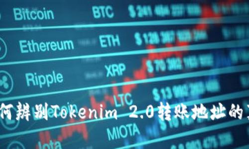 : 如何辨别Tokenim 2.0转账地址的真伪?