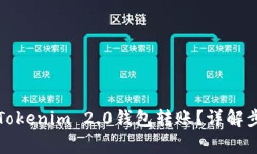 如何成功退回Tokenim 2.0钱包转账?详解步骤与注意事项