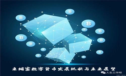 柬埔寨数字货币发展现状与未来展望