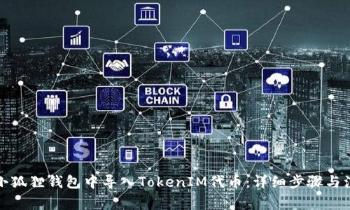 如何在小狐狸钱包中导入TokenIM代币:详细步骤与注意事项