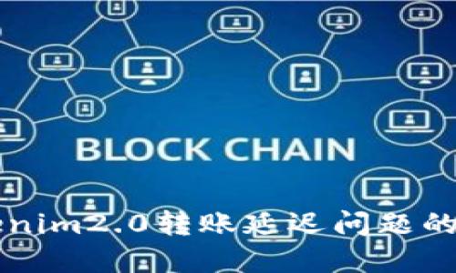 解决Tokenim2.0转账延迟问题的实用指南