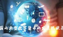 深度解析国内大型数字货