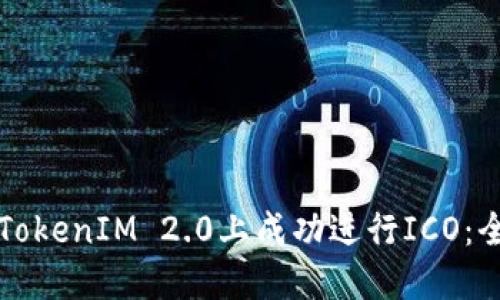 如何在TokenIM 2.0上成功进行ICO:全面指南