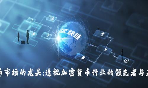 数字货币市场的龙头:透视加密货币行业的领先者与未来趋势