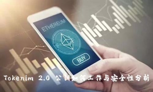 Tokenim 2.0 公钥如何工作与安全性分析