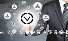 Tokenim 2.0 公钥如何工作与