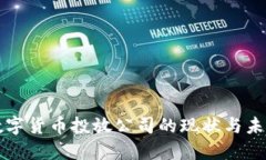 央行数字货币投放公司的