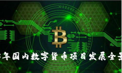2023年国内数字货币项目发展全景解析