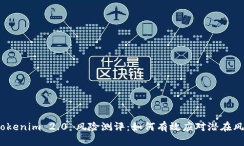 : Tokenim 2.0 风险测评:如何有效应对潜在风险?