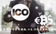 大连数字货币使用指南：