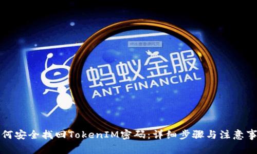 如何安全找回TokenIM密码:详细步骤与注意事项