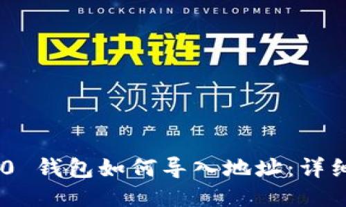 Tokenim 2.0 钱包如何导入地址:详细指南与技巧