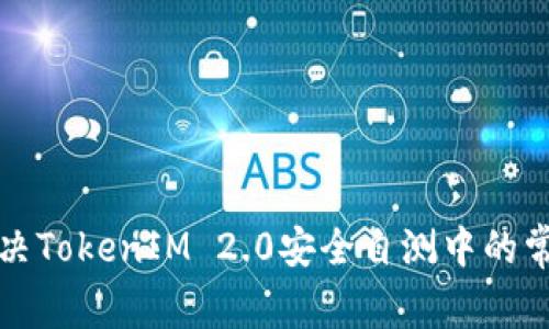 如何解决TokenIM 2.0安全自测中的常见问题